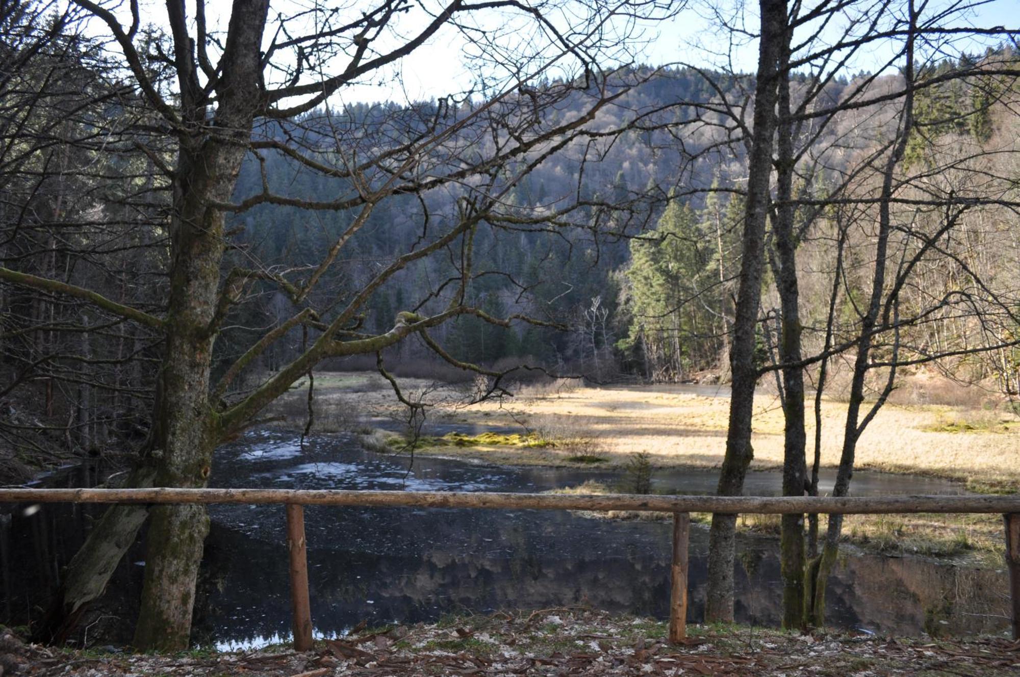 Auberge De L'Etang Du Devin لابوتروي المظهر الخارجي الصورة